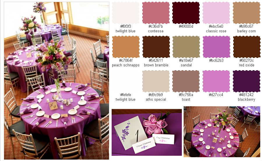 This is a color scheme we generated from a set of fabulous wedding photos